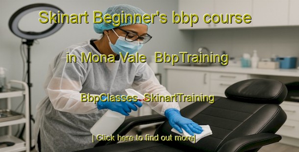 Skinart Beginner's bbp course in Mona Vale | BbpTraining | BbpClasses | SkinartTraining-Australia