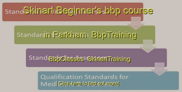 Skinart Beginner's bbp course in Parkham | BbpTraining | BbpClasses | SkinartTraining-Australia