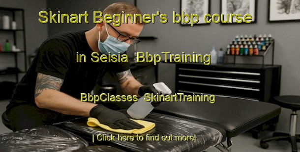 Skinart Beginner's bbp course in Seisia | BbpTraining | BbpClasses | SkinartTraining-Australia