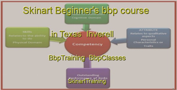 Skinart Beginner's bbp course in Texas  Inverell | BbpTraining | BbpClasses | SkinartTraining-Australia