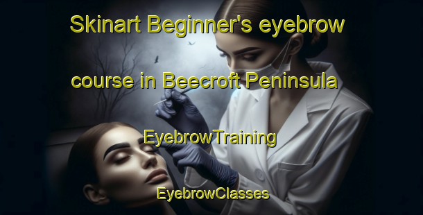 Skinart Beginner's eyebrow course in Beecroft Peninsula | EyebrowTraining | EyebrowClasses | SkinartTraining-Australia