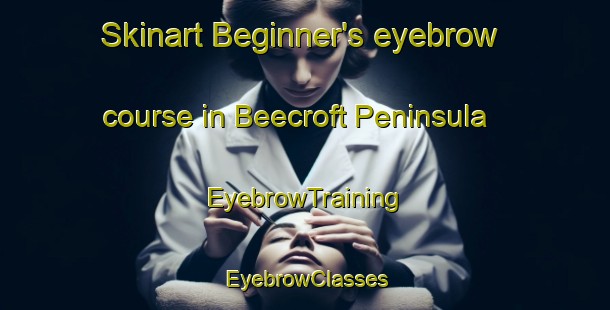 Skinart Beginner's eyebrow course in Beecroft Peninsula | EyebrowTraining | EyebrowClasses | SkinartTraining-Australia