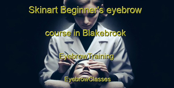 Skinart Beginner's eyebrow course in Blakebrook | EyebrowTraining | EyebrowClasses | SkinartTraining-Australia