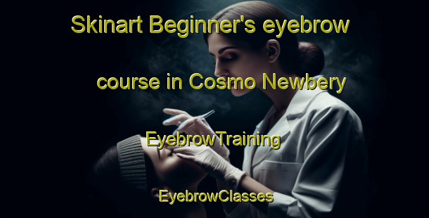 Skinart Beginner's eyebrow course in Cosmo Newbery | EyebrowTraining | EyebrowClasses | SkinartTraining-Australia
