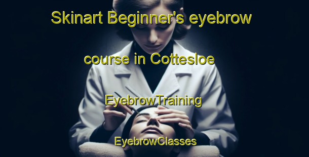 Skinart Beginner's eyebrow course in Cottesloe | EyebrowTraining | EyebrowClasses | SkinartTraining-Australia