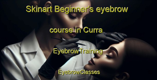Skinart Beginner's eyebrow course in Curra | EyebrowTraining | EyebrowClasses | SkinartTraining-Australia