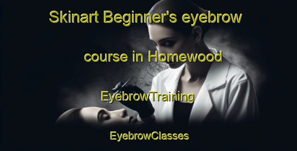 Skinart Beginner's eyebrow course in Homewood | EyebrowTraining | EyebrowClasses | SkinartTraining-Australia