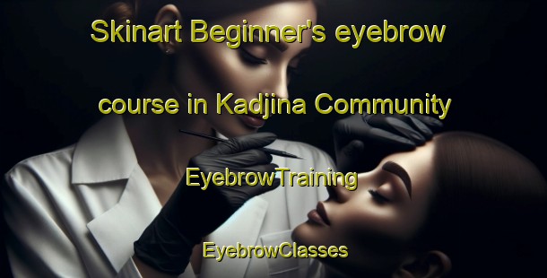 Skinart Beginner's eyebrow course in Kadjina Community | EyebrowTraining | EyebrowClasses | SkinartTraining-Australia