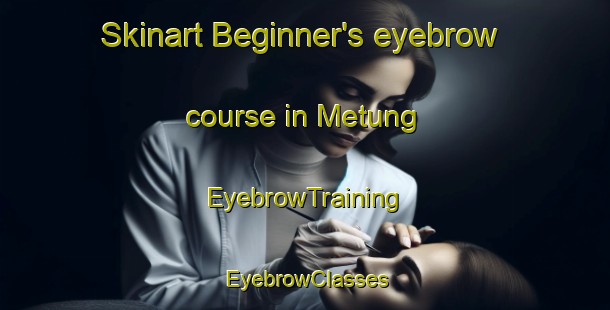 Skinart Beginner's eyebrow course in Metung | EyebrowTraining | EyebrowClasses | SkinartTraining-Australia
