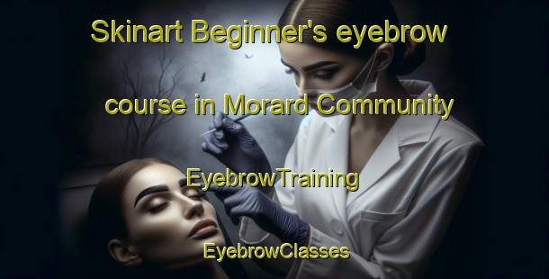 Skinart Beginner's eyebrow course in Morard Community | EyebrowTraining | EyebrowClasses | SkinartTraining-Australia