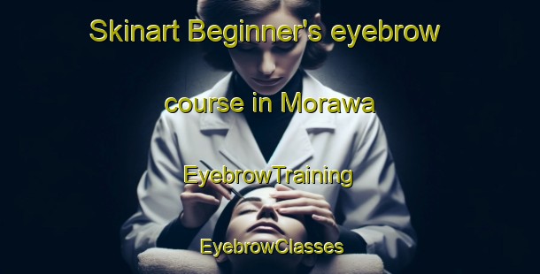 Skinart Beginner's eyebrow course in Morawa | EyebrowTraining | EyebrowClasses | SkinartTraining-Australia