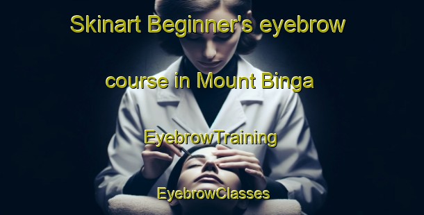 Skinart Beginner's eyebrow course in Mount Binga | EyebrowTraining | EyebrowClasses | SkinartTraining-Australia