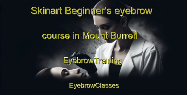 Skinart Beginner's eyebrow course in Mount Burrell | EyebrowTraining | EyebrowClasses | SkinartTraining-Australia