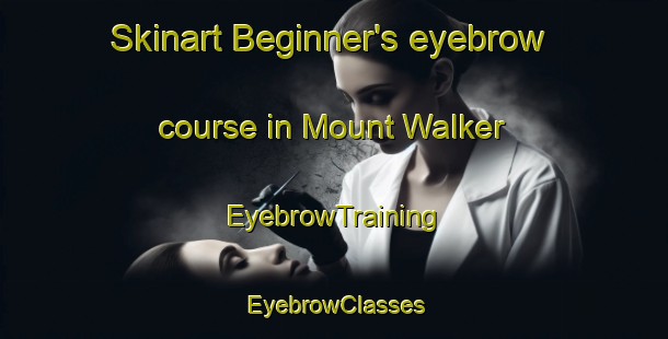 Skinart Beginner's eyebrow course in Mount Walker | EyebrowTraining | EyebrowClasses | SkinartTraining-Australia