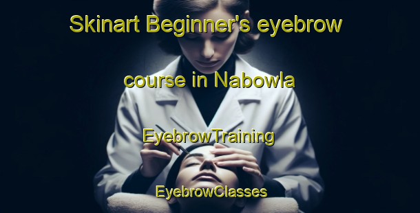 Skinart Beginner's eyebrow course in Nabowla | EyebrowTraining | EyebrowClasses | SkinartTraining-Australia
