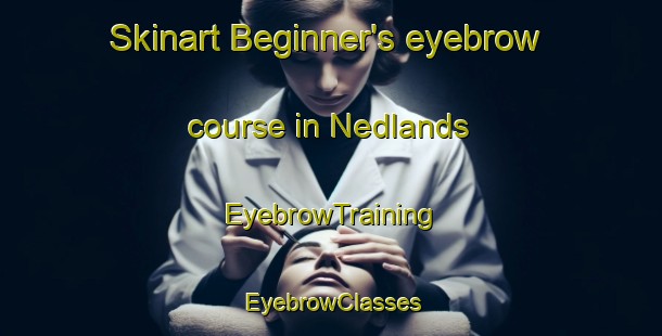 Skinart Beginner's eyebrow course in Nedlands | EyebrowTraining | EyebrowClasses | SkinartTraining-Australia