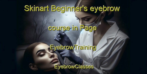 Skinart Beginner's eyebrow course in Page | EyebrowTraining | EyebrowClasses | SkinartTraining-Australia