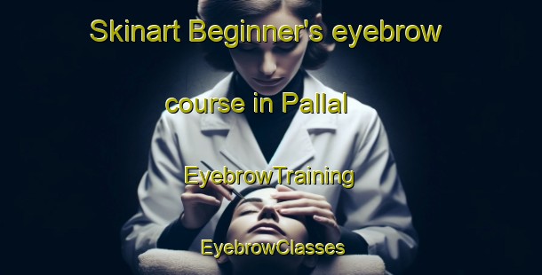 Skinart Beginner's eyebrow course in Pallal | EyebrowTraining | EyebrowClasses | SkinartTraining-Australia