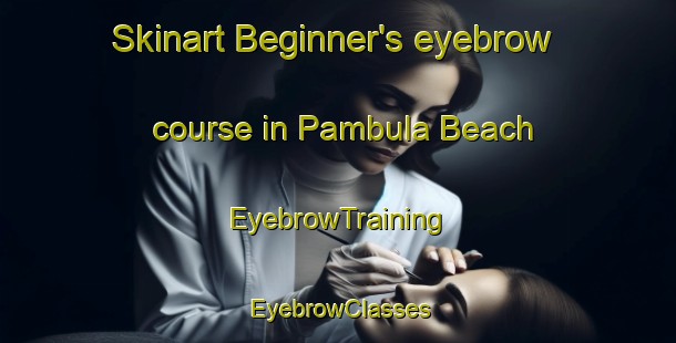 Skinart Beginner's eyebrow course in Pambula Beach | EyebrowTraining | EyebrowClasses | SkinartTraining-Australia