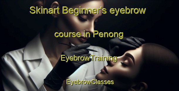Skinart Beginner's eyebrow course in Penong | EyebrowTraining | EyebrowClasses | SkinartTraining-Australia