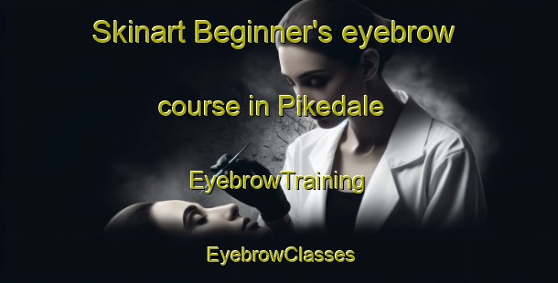 Skinart Beginner's eyebrow course in Pikedale | EyebrowTraining | EyebrowClasses | SkinartTraining-Australia