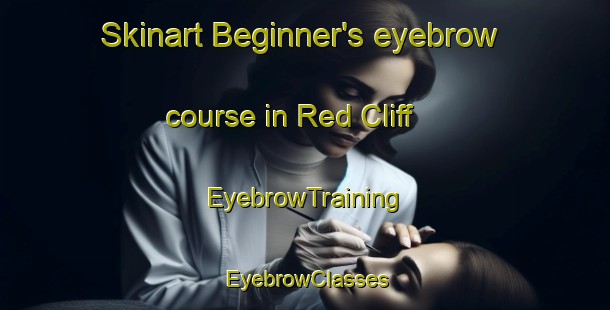 Skinart Beginner's eyebrow course in Red Cliff | EyebrowTraining | EyebrowClasses | SkinartTraining-Australia