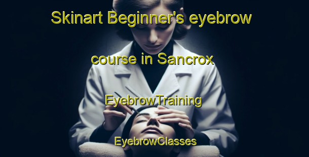 Skinart Beginner's eyebrow course in Sancrox | EyebrowTraining | EyebrowClasses | SkinartTraining-Australia