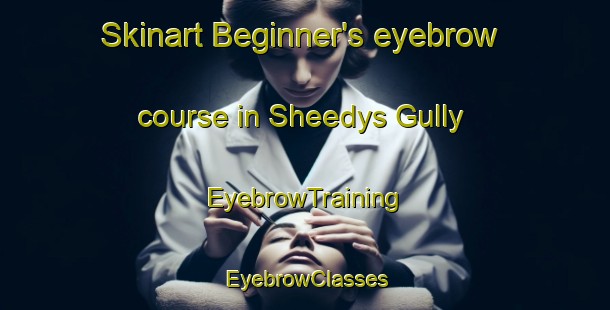 Skinart Beginner's eyebrow course in Sheedys Gully | EyebrowTraining | EyebrowClasses | SkinartTraining-Australia