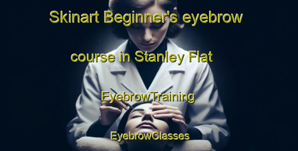 Skinart Beginner's eyebrow course in Stanley Flat | EyebrowTraining | EyebrowClasses | SkinartTraining-Australia