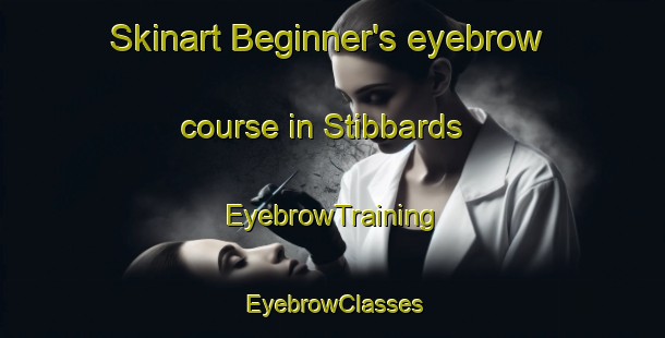 Skinart Beginner's eyebrow course in Stibbards | EyebrowTraining | EyebrowClasses | SkinartTraining-Australia