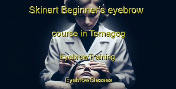 Skinart Beginner's eyebrow course in Temagog | EyebrowTraining | EyebrowClasses | SkinartTraining-Australia