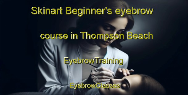 Skinart Beginner's eyebrow course in Thompson Beach | EyebrowTraining | EyebrowClasses | SkinartTraining-Australia
