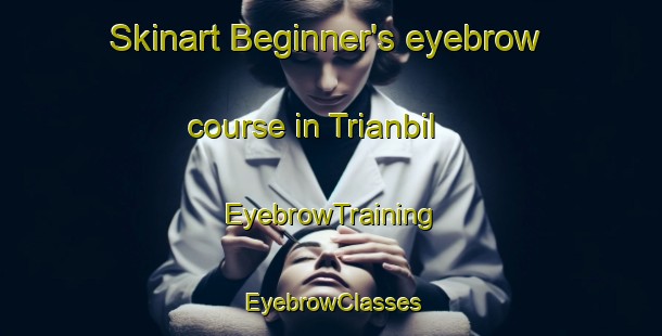 Skinart Beginner's eyebrow course in Trianbil | EyebrowTraining | EyebrowClasses | SkinartTraining-Australia