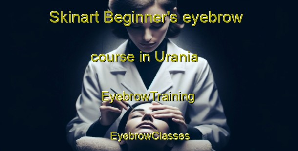 Skinart Beginner's eyebrow course in Urania | EyebrowTraining | EyebrowClasses | SkinartTraining-Australia
