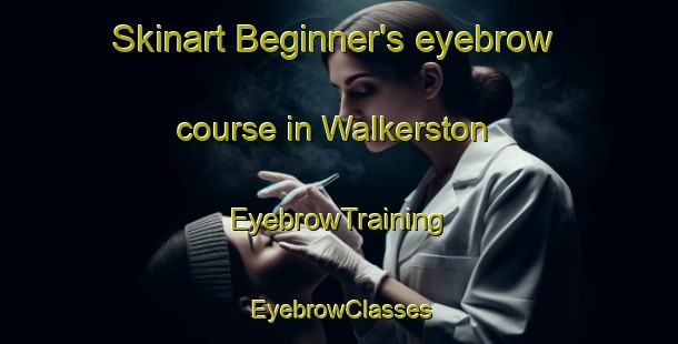 Skinart Beginner's eyebrow course in Walkerston | EyebrowTraining | EyebrowClasses | SkinartTraining-Australia