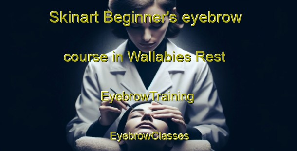 Skinart Beginner's eyebrow course in Wallabies Rest | EyebrowTraining | EyebrowClasses | SkinartTraining-Australia