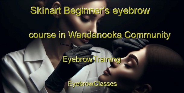 Skinart Beginner's eyebrow course in Wandanooka Community | EyebrowTraining | EyebrowClasses | SkinartTraining-Australia