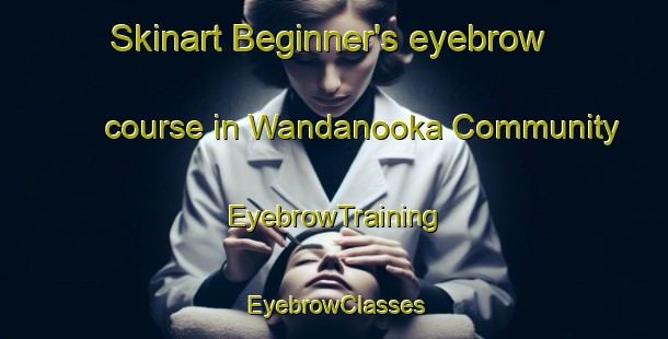 Skinart Beginner's eyebrow course in Wandanooka Community | EyebrowTraining | EyebrowClasses | SkinartTraining-Australia