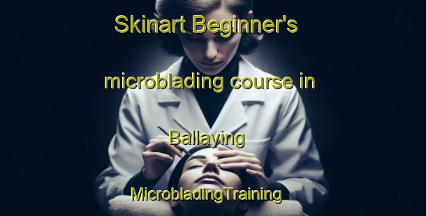 Skinart Beginner's microblading course in Ballaying | MicrobladingTraining | MicrobladingClasses | SkinartTraining-Australia