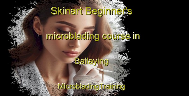 Skinart Beginner's microblading course in Ballaying | MicrobladingTraining | MicrobladingClasses | SkinartTraining-Australia