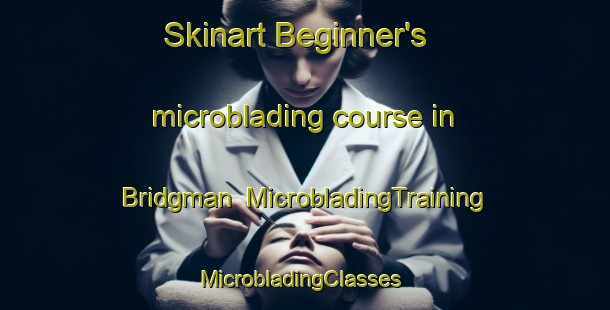 Skinart Beginner's microblading course in Bridgman | MicrobladingTraining | MicrobladingClasses | SkinartTraining-Australia