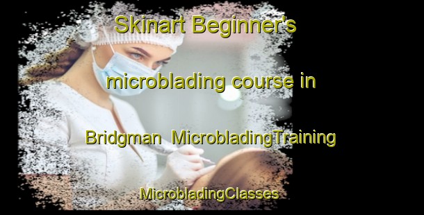 Skinart Beginner's microblading course in Bridgman | MicrobladingTraining | MicrobladingClasses | SkinartTraining-Australia
