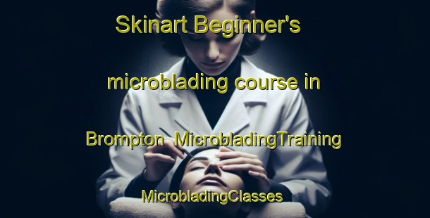 Skinart Beginner's microblading course in Brompton | MicrobladingTraining | MicrobladingClasses | SkinartTraining-Australia