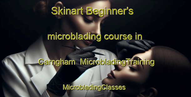 Skinart Beginner's microblading course in Carngham | MicrobladingTraining | MicrobladingClasses | SkinartTraining-Australia