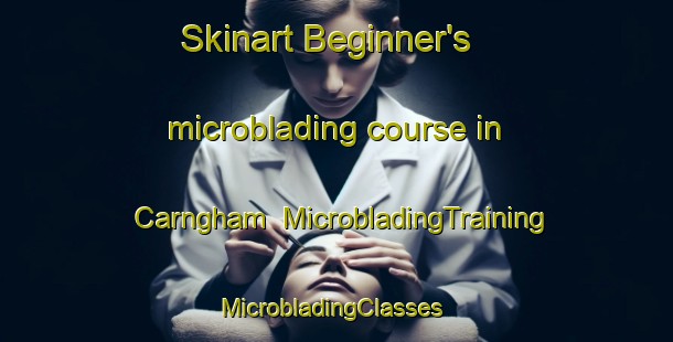 Skinart Beginner's microblading course in Carngham | MicrobladingTraining | MicrobladingClasses | SkinartTraining-Australia