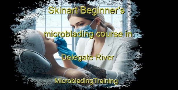 Skinart Beginner's microblading course in Delegate River | MicrobladingTraining | MicrobladingClasses | SkinartTraining-Australia