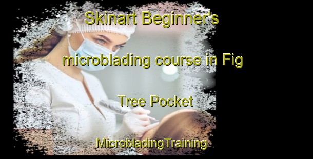 Skinart Beginner's microblading course in Fig Tree Pocket | MicrobladingTraining | MicrobladingClasses | SkinartTraining-Australia