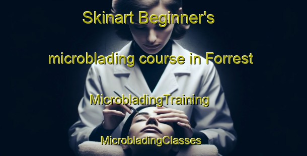 Skinart Beginner's microblading course in Forrest | MicrobladingTraining | MicrobladingClasses | SkinartTraining-Australia