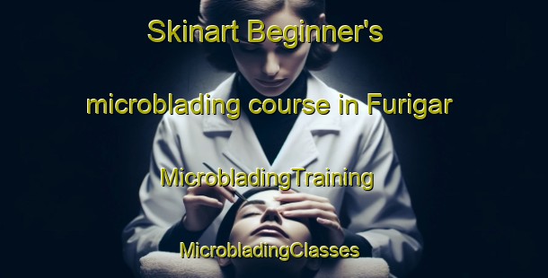 Skinart Beginner's microblading course in Furigar | MicrobladingTraining | MicrobladingClasses | SkinartTraining-Australia