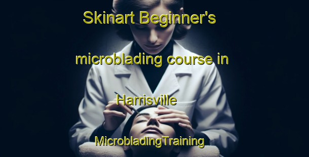 Skinart Beginner's microblading course in Harrisville | MicrobladingTraining | MicrobladingClasses | SkinartTraining-Australia